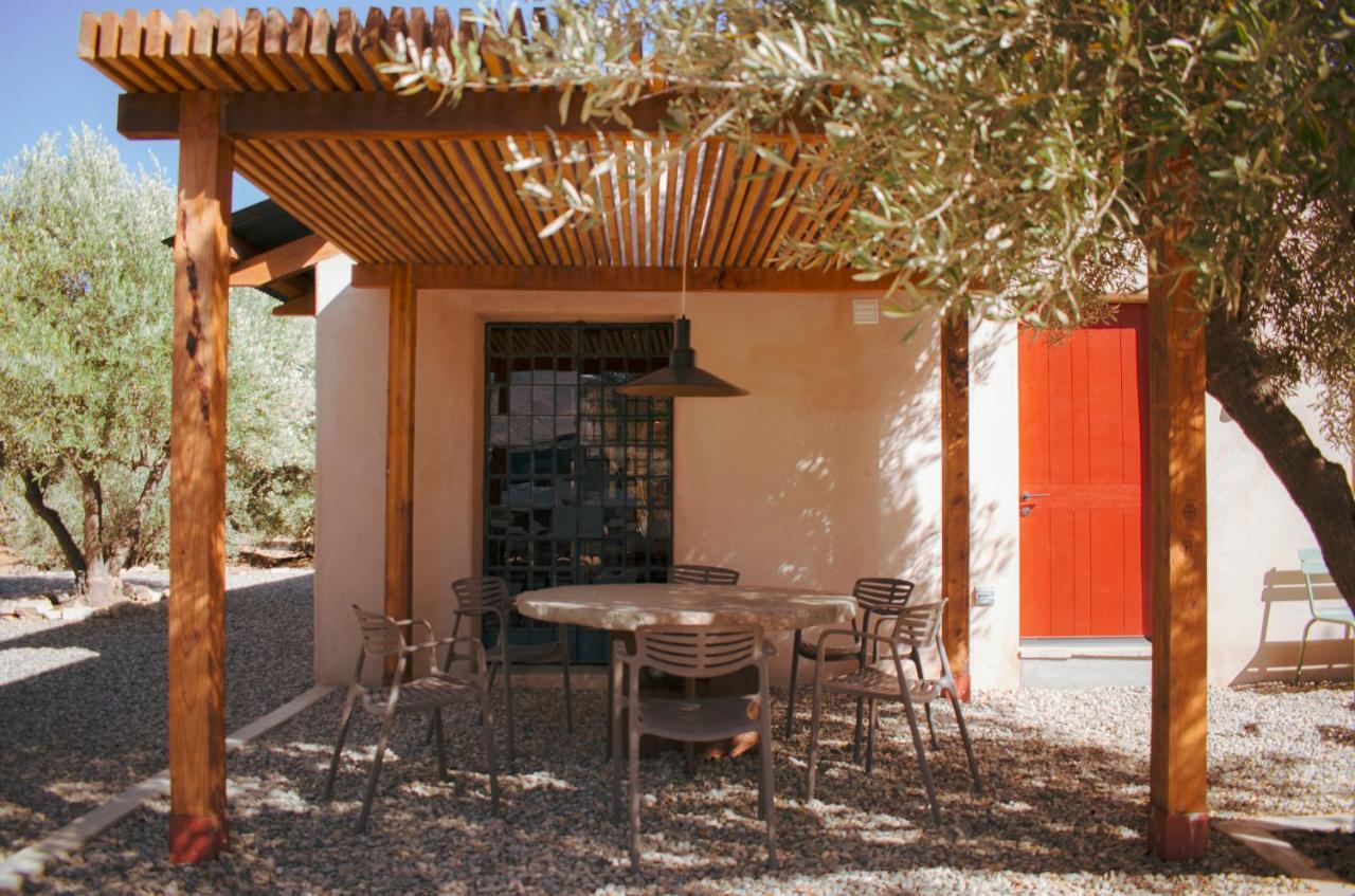 Alma Liebre Vinedos Del Valle Valle de Guadalupe Kültér fotó