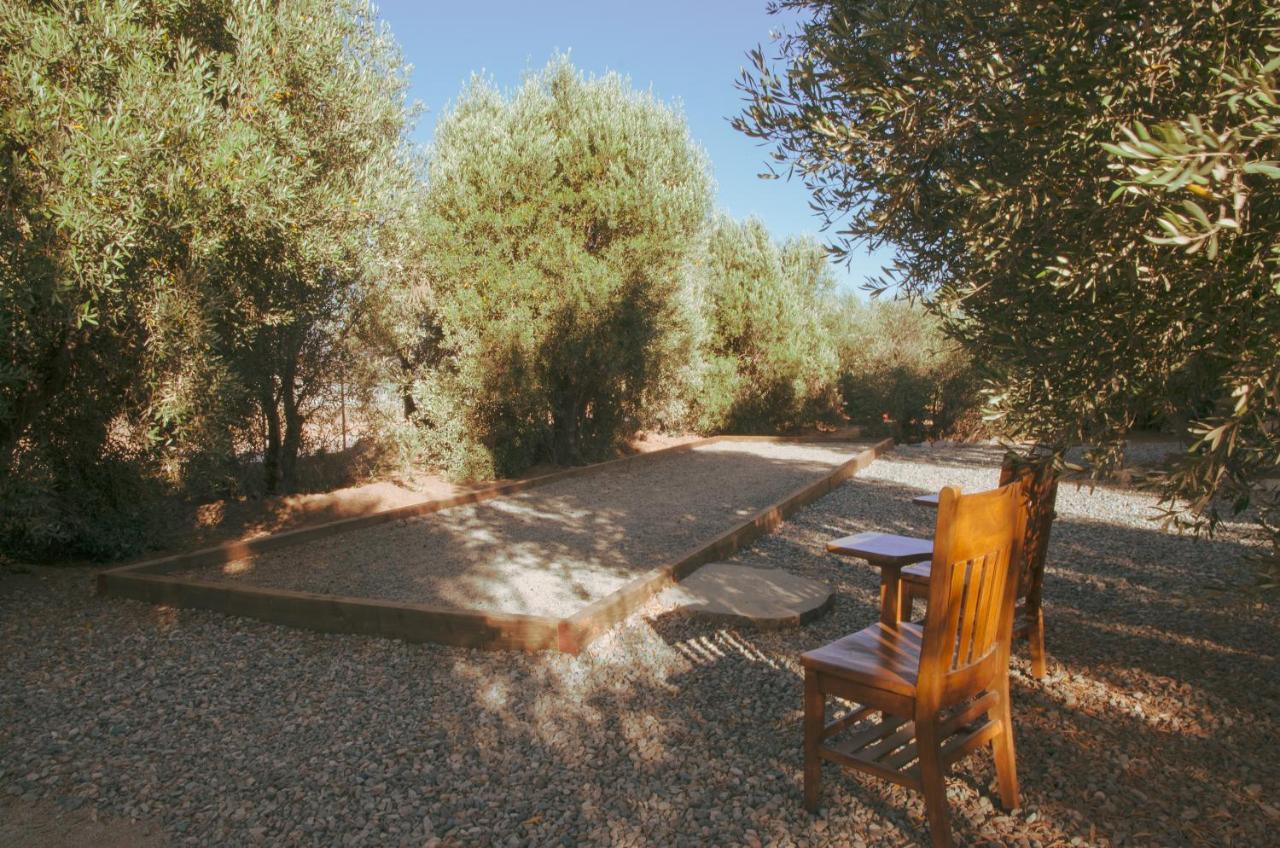 Alma Liebre Vinedos Del Valle Valle de Guadalupe Kültér fotó