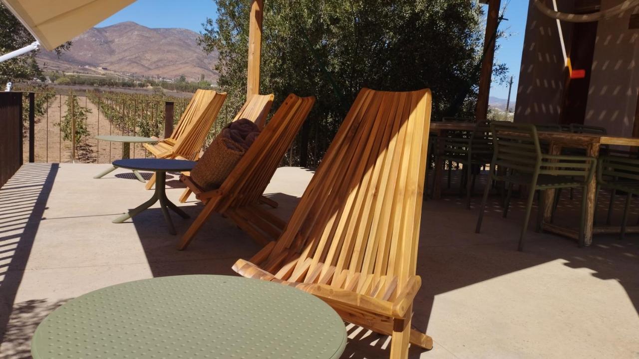 Alma Liebre Vinedos Del Valle Valle de Guadalupe Kültér fotó