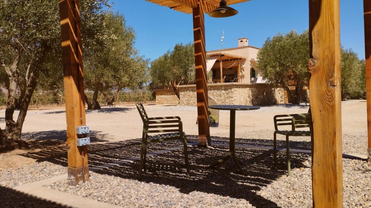 Alma Liebre Vinedos Del Valle Valle de Guadalupe Kültér fotó
