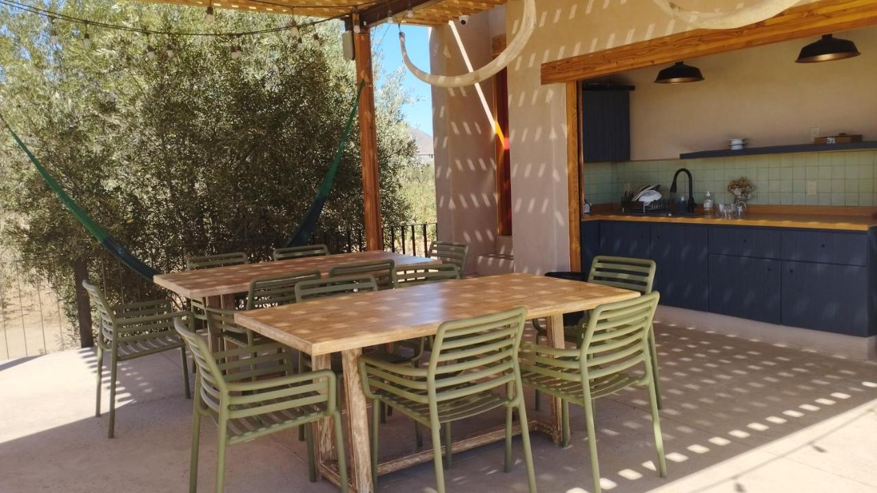 Alma Liebre Vinedos Del Valle Valle de Guadalupe Kültér fotó