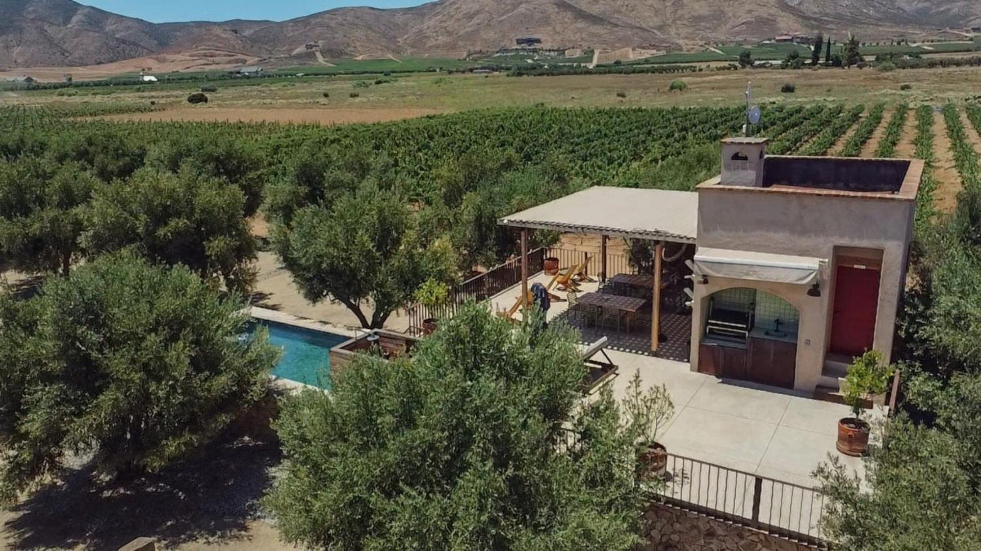 Alma Liebre Vinedos Del Valle Valle de Guadalupe Kültér fotó