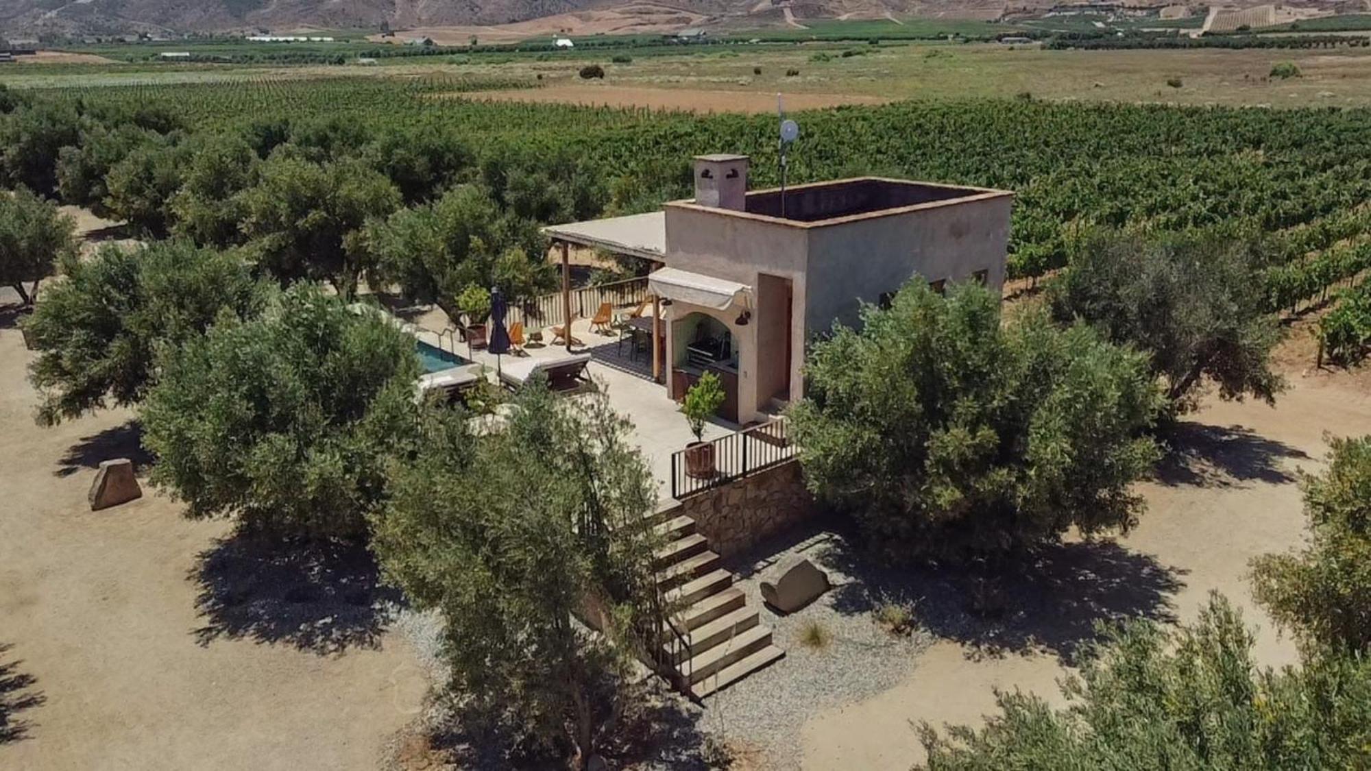 Alma Liebre Vinedos Del Valle Valle de Guadalupe Kültér fotó