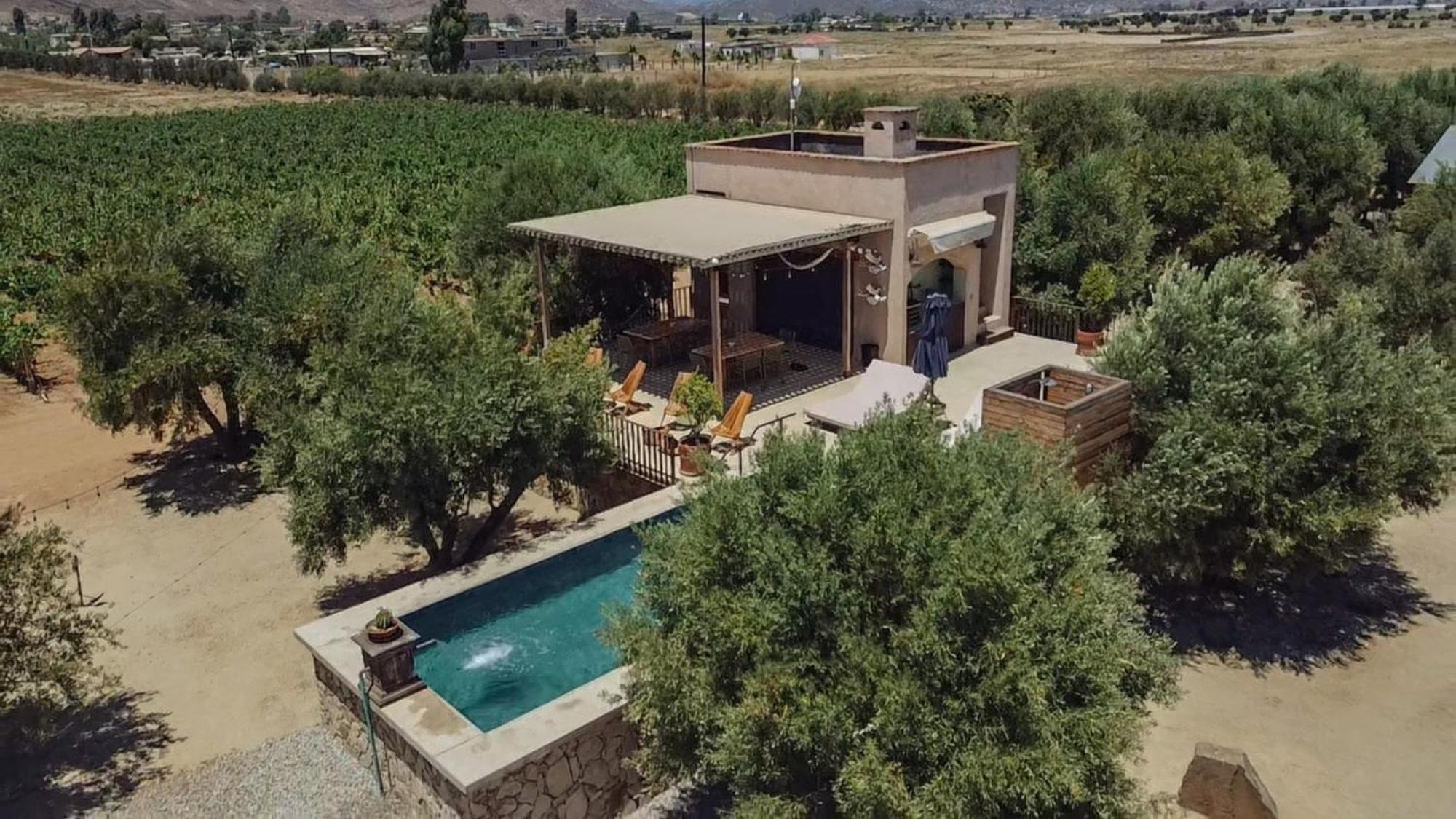 Alma Liebre Vinedos Del Valle Valle de Guadalupe Kültér fotó
