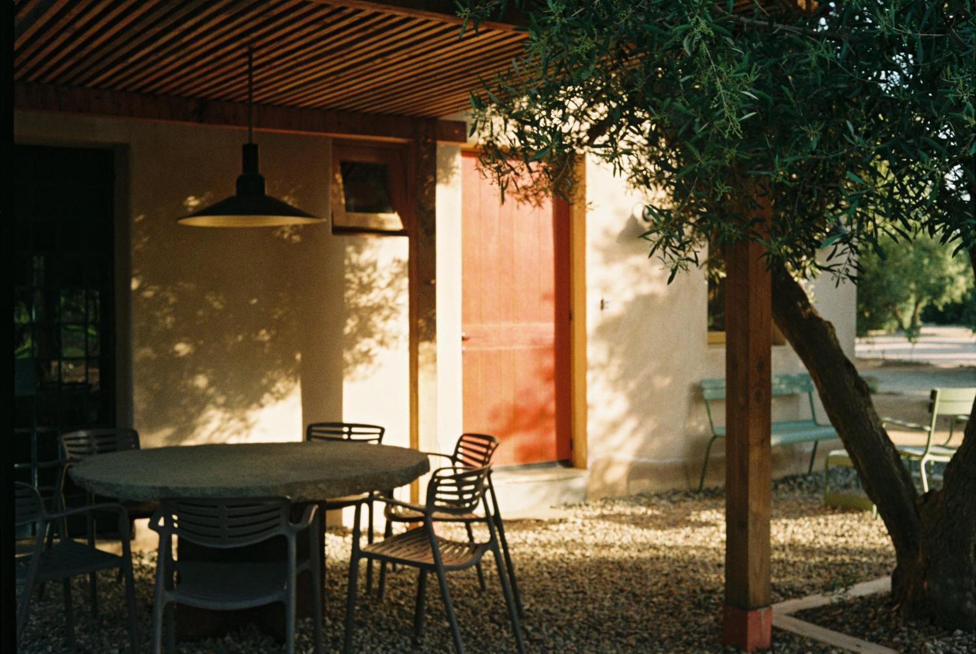 Alma Liebre Vinedos Del Valle Valle de Guadalupe Kültér fotó