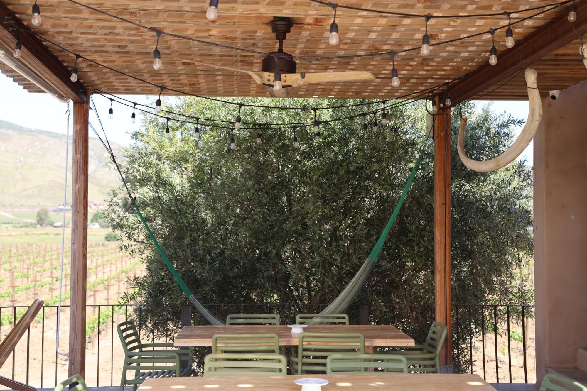 Alma Liebre Vinedos Del Valle Valle de Guadalupe Kültér fotó