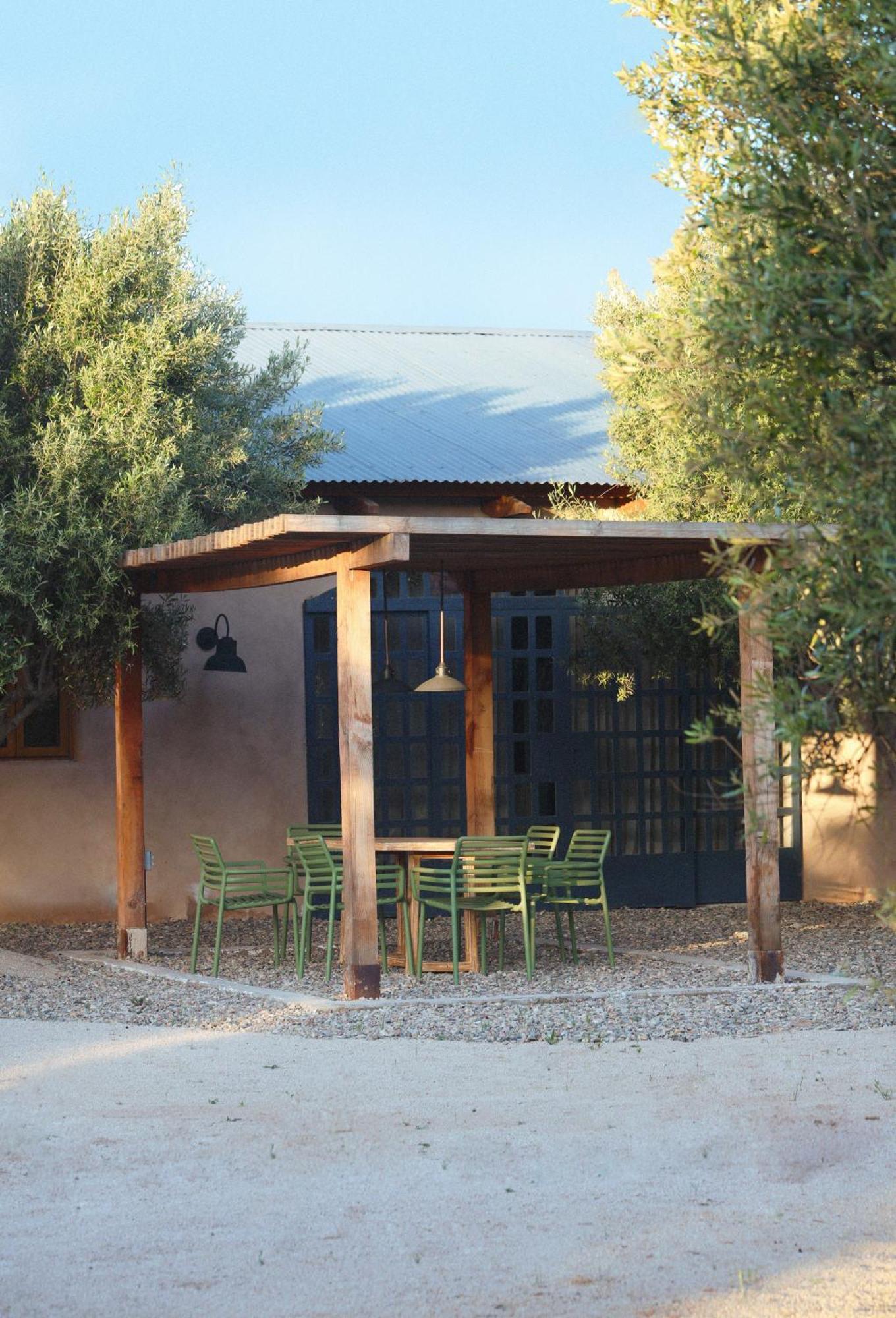 Alma Liebre Vinedos Del Valle Valle de Guadalupe Kültér fotó